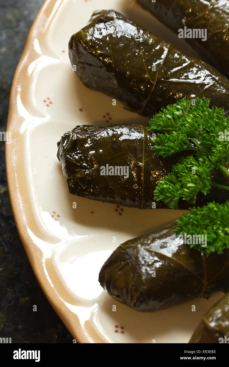 Armenian yaprak dolma, stuffed grape leaves garnished with fresh