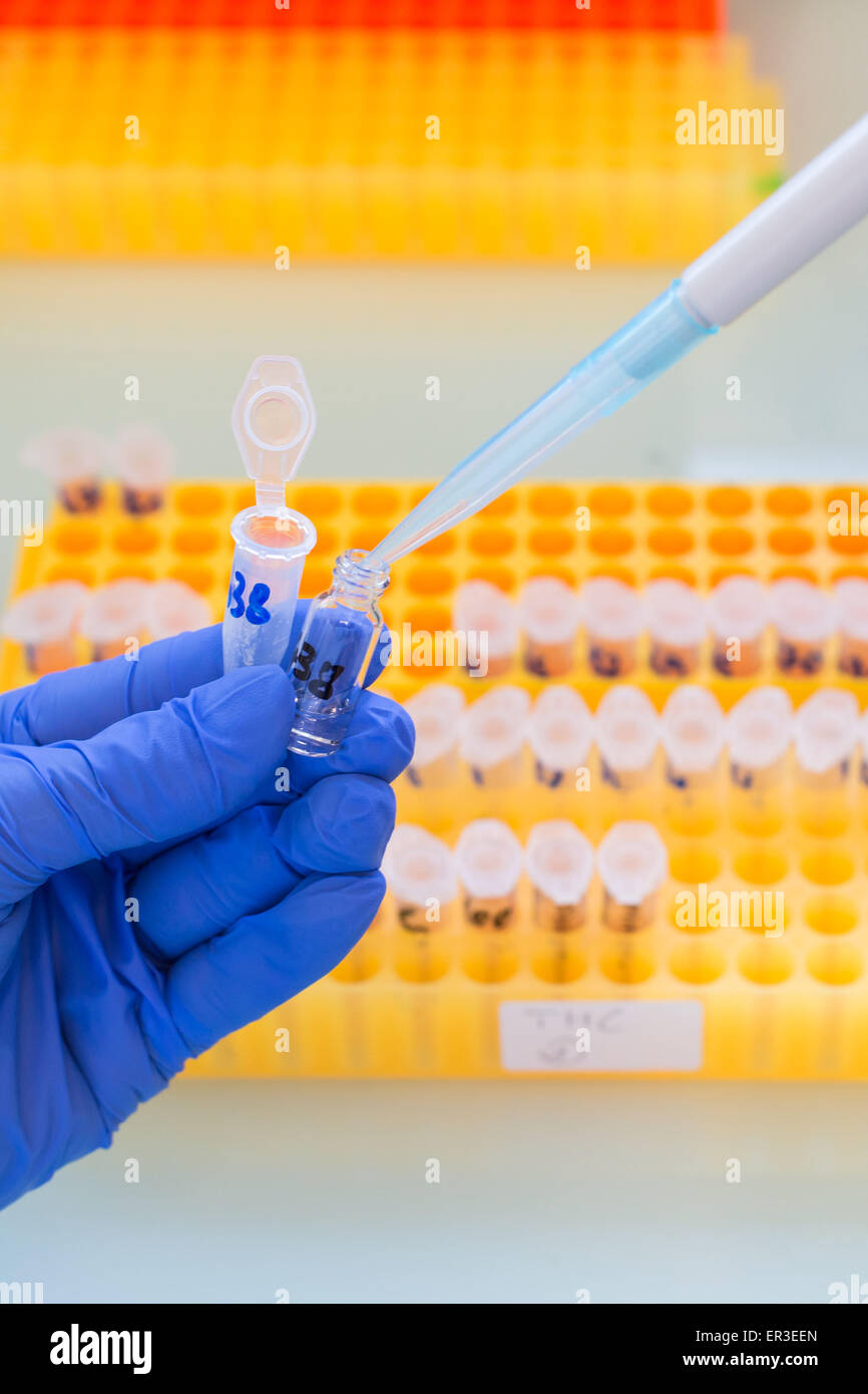 HRT rate research and cannabis assay in serum as part of a forensic analysis. Stock Photo