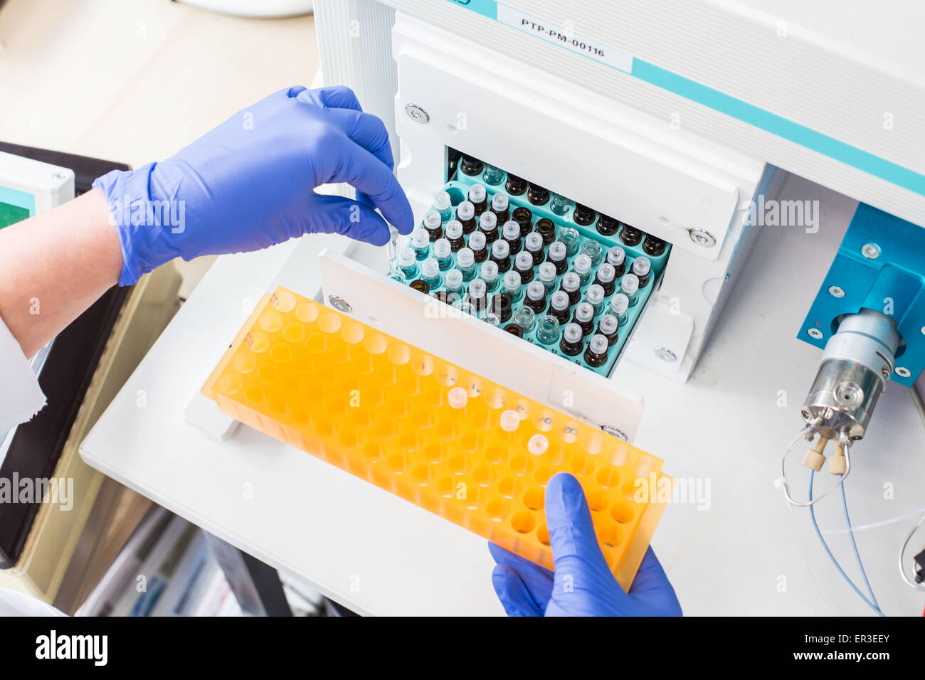 Research on drugs used in transplantation, the immunosuppressant, Laboratory of Pharmacology and toxicology. Stock Photo