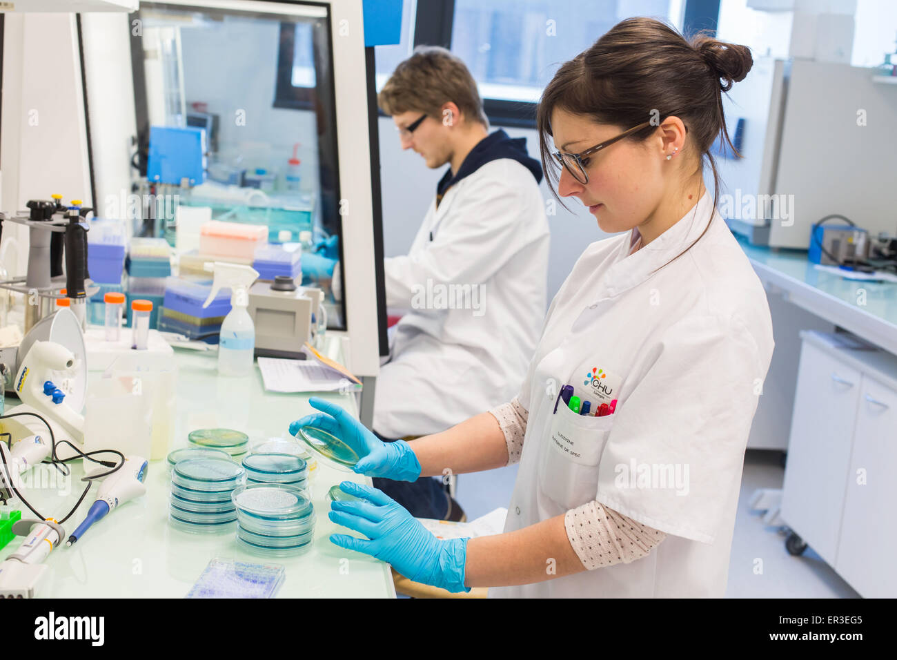 Hands holding a culture plate testing for the presence of Escherichia coli bacteria by looking at antibiotic resistance, Biology and Research Center in University Hospital Health, Limoges, France. Stock Photo