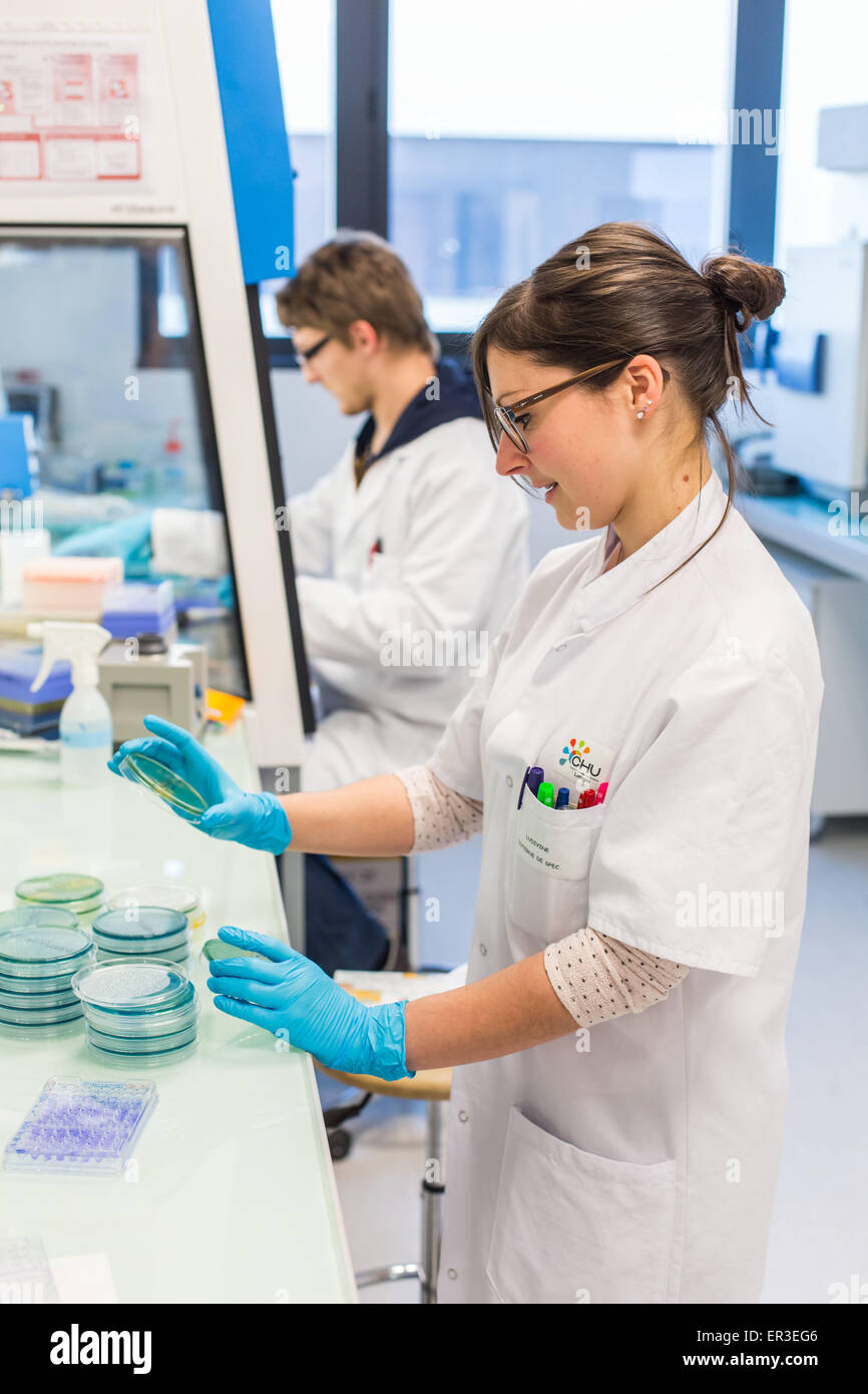 Hands holding a culture plate testing for the presence of Escherichia coli bacteria by looking at antibiotic resistance, Biology and Research Center in University Hospital Health, Limoges, France. Stock Photo