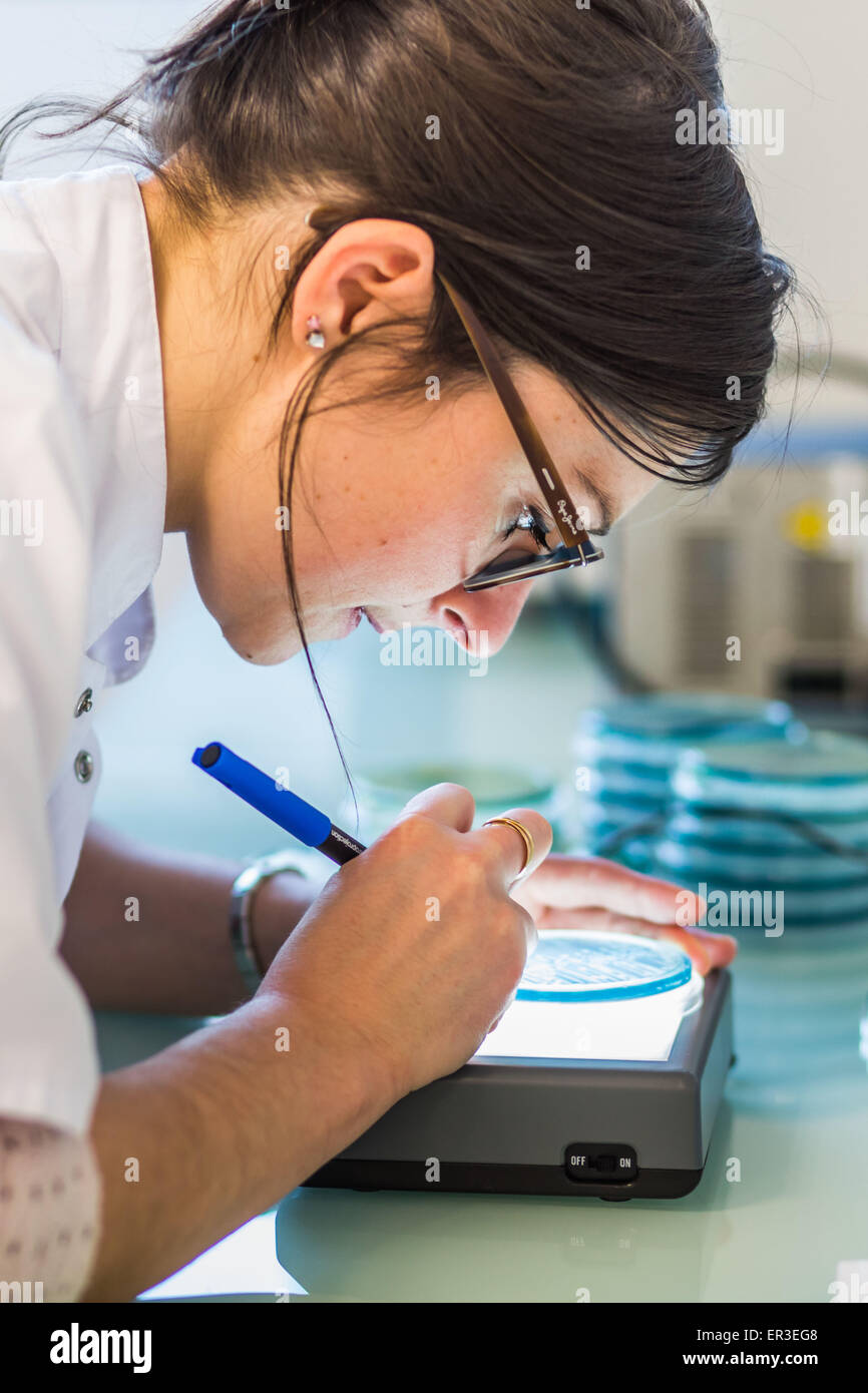 Hands holding a culture plate testing for the presence of Escherichia coli bacteria by looking at antibiotic resistance, Biology and Research Center in University Hospital Health, Limoges, France. Stock Photo