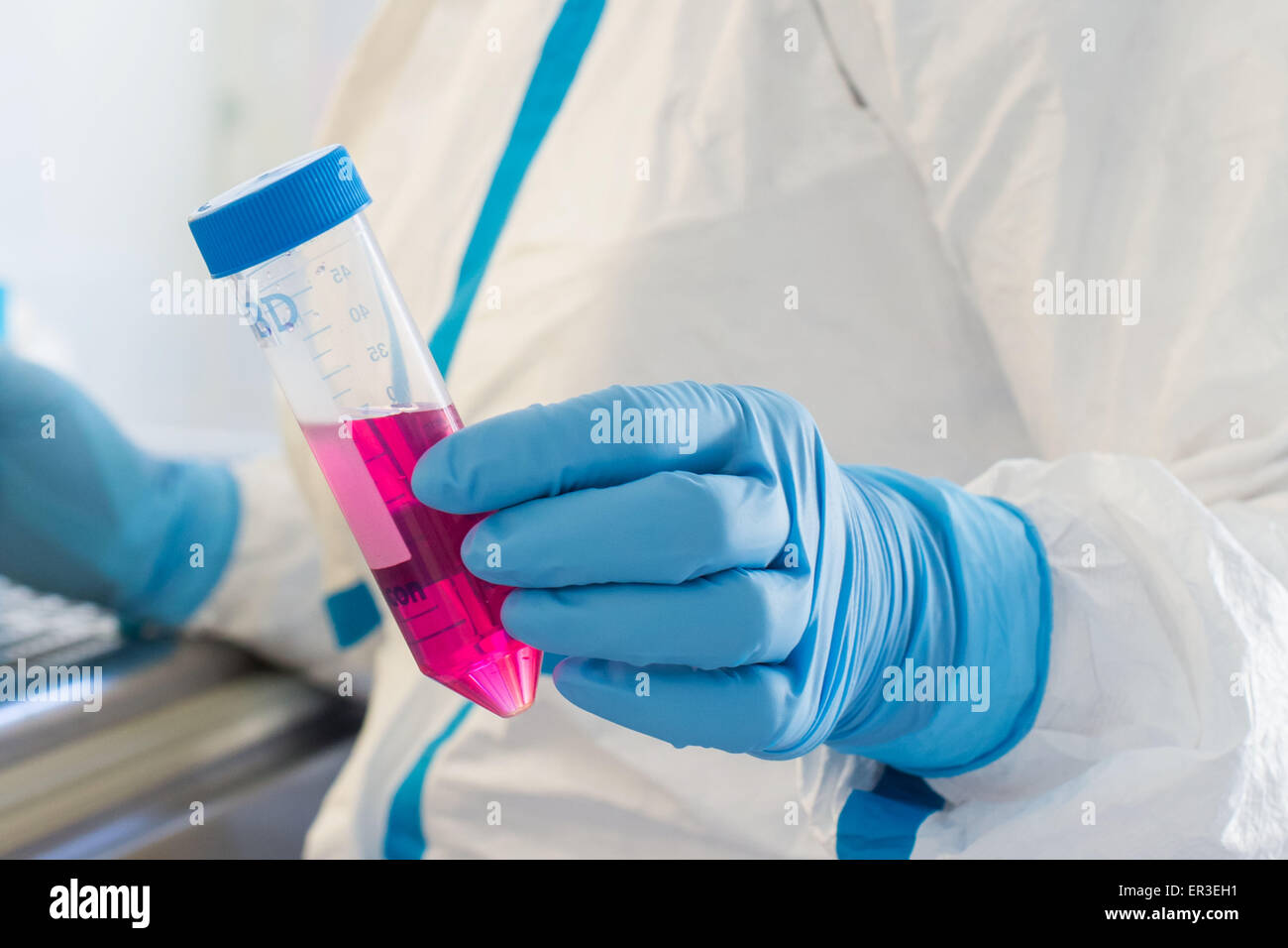 Cells culture examination, manipulations in P3 laboratory, Biology and Research Center in University Hospital Health, France. Stock Photo