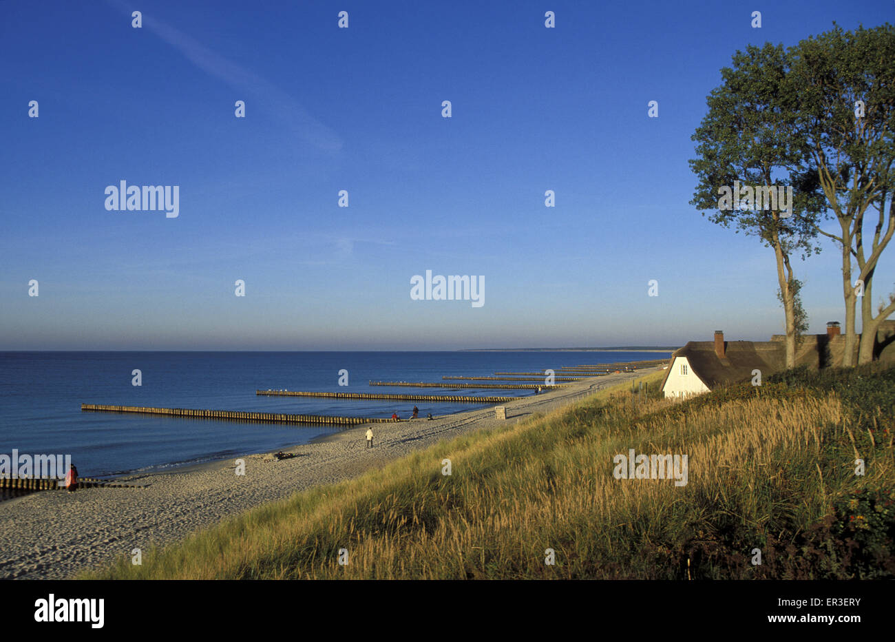 DEU, Germany, Mecklenburg-Western Pomerania, Ahrenshoop at the Baltic Sea, house at the beach.  DEU, Deutschland, Mecklenburg-Vo Stock Photo