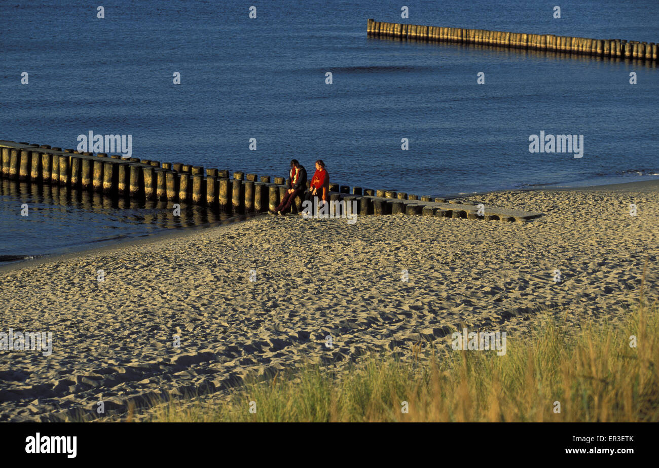 DEU, Germany, Mecklenburg-Western Pomerania, the beach with groins at Ahrenshoop at the Baltic Sea.  DEU, Deutschland, Mecklenbu Stock Photo