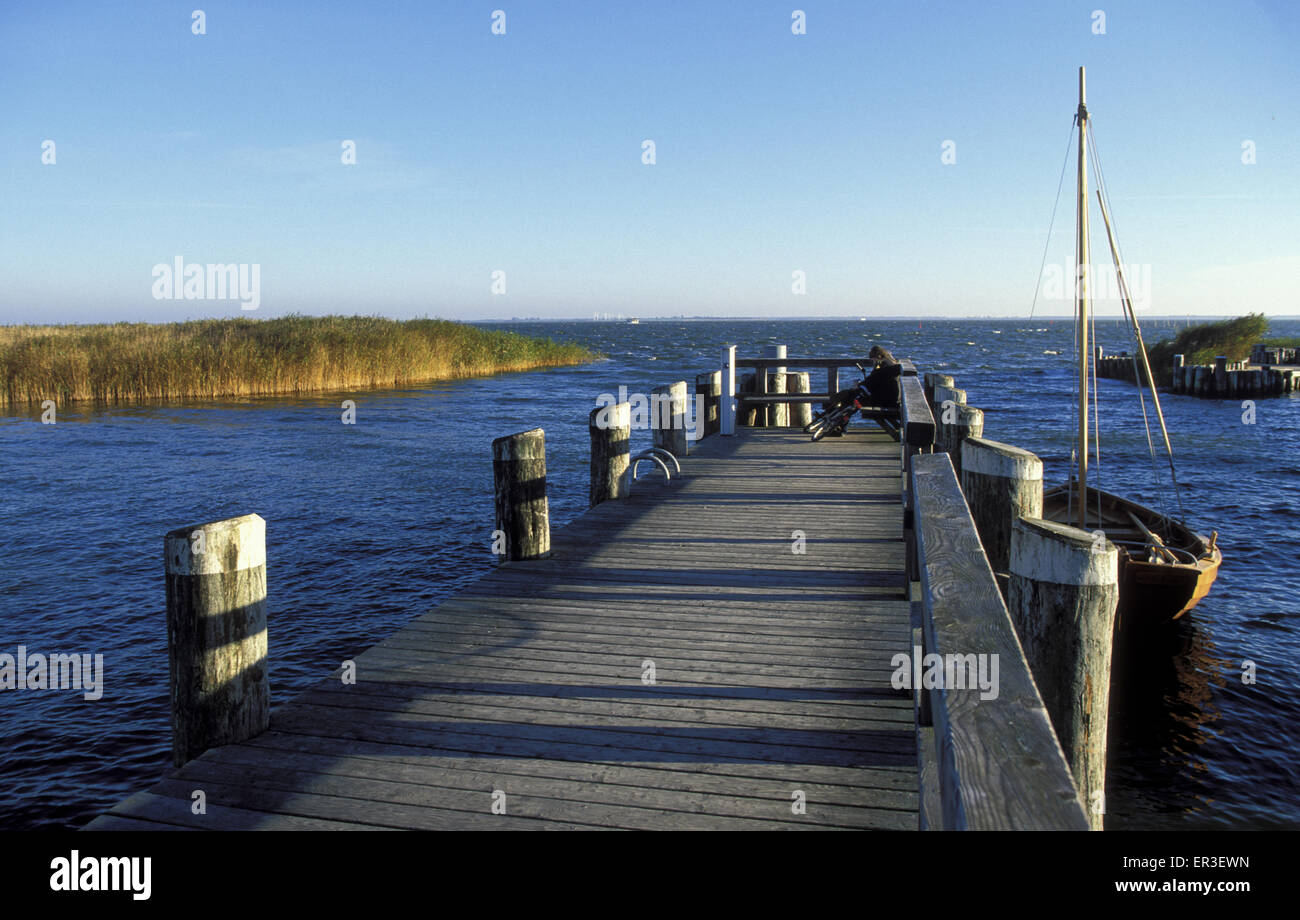 DEU, Germany, Mecklenburg-Western Pomerania, Ahrenshoop at the Baltic Sea, port Althagen at the Saaler Bodden.  DEU, Deutschland Stock Photo