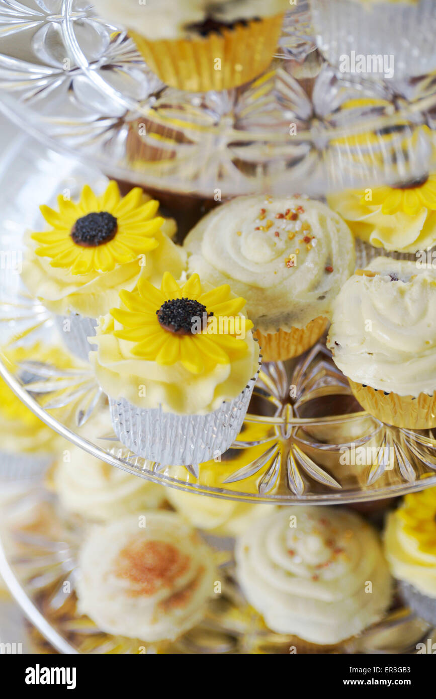 Festive cupcakes Stock Photo