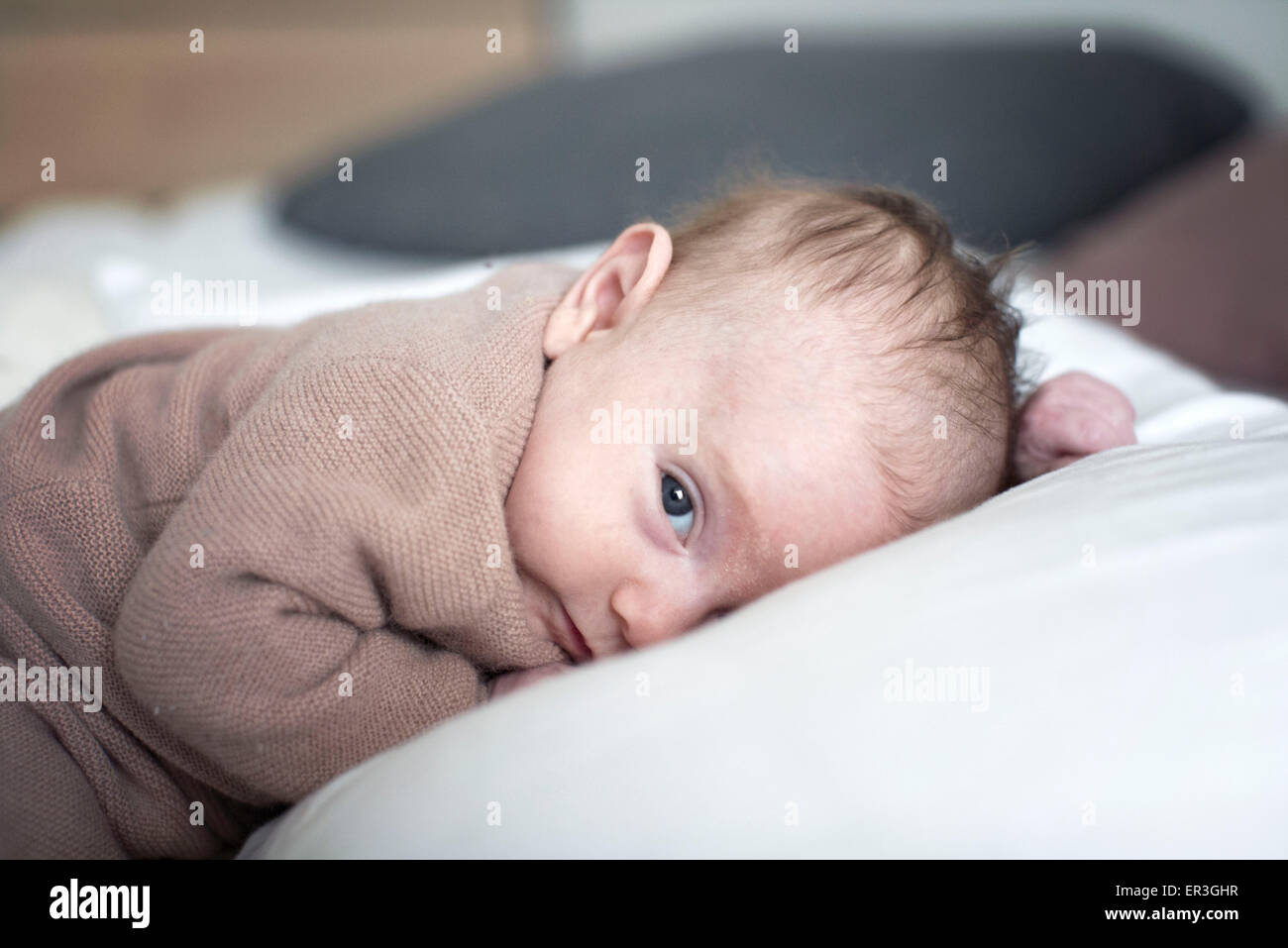 Newborn baby lying down, portrait Stock Photo Alamy