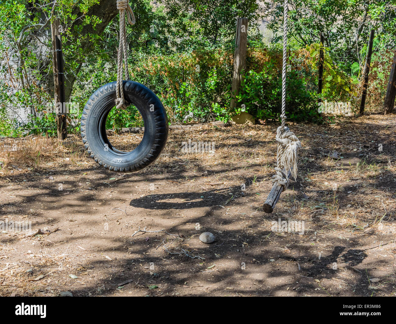 A Rope Swing And A Tire Swing Is Held In Place Hanging From