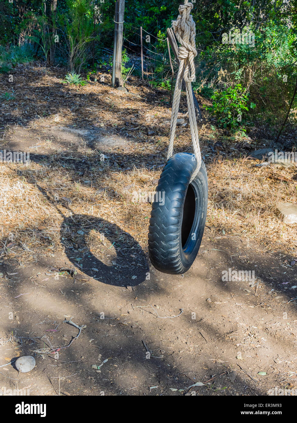 A Tire Swing Is Held In Place Hanging From A Tree By A Large