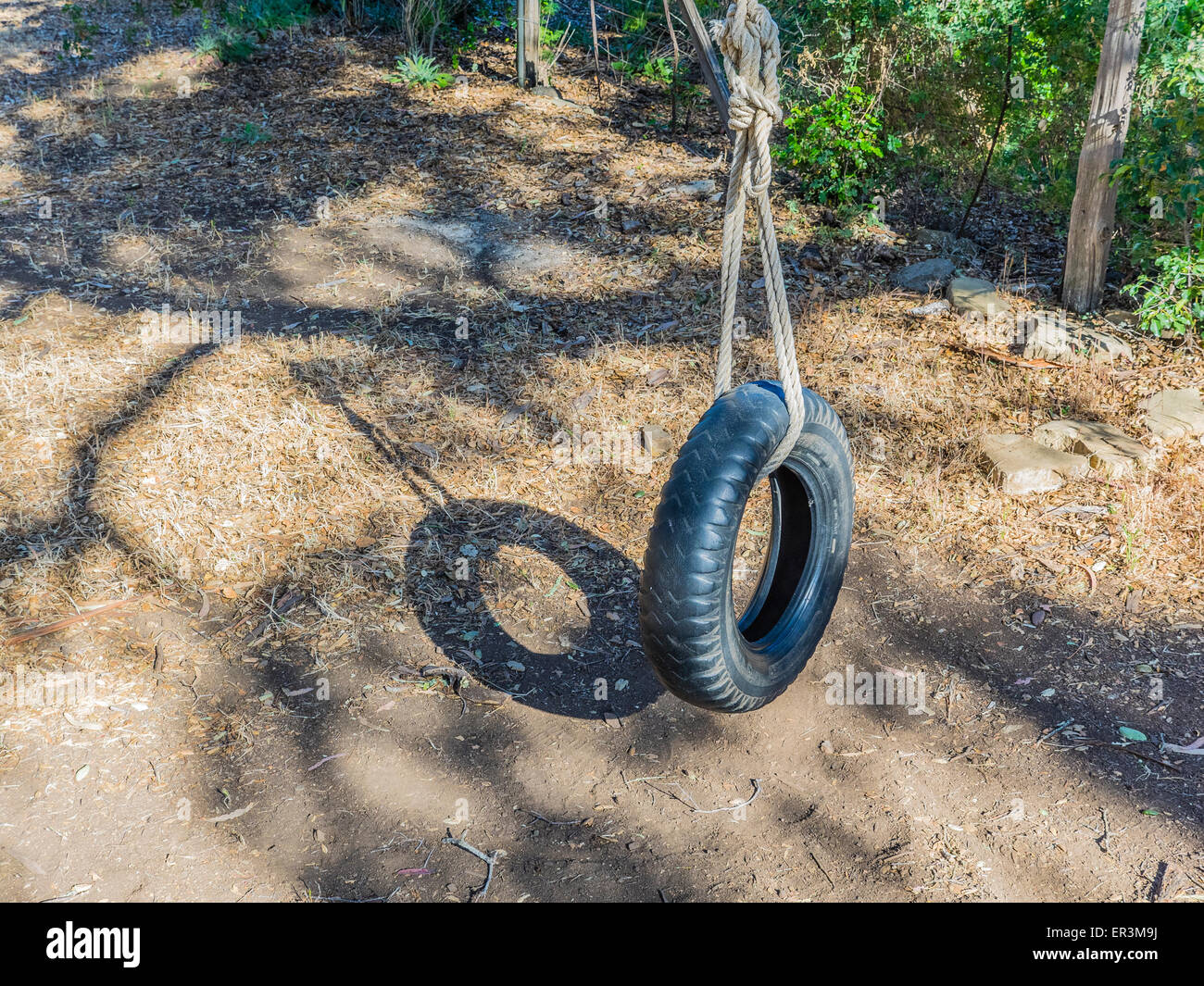 A Tire Swing Is Held In Place Hanging From A Tree By A Large