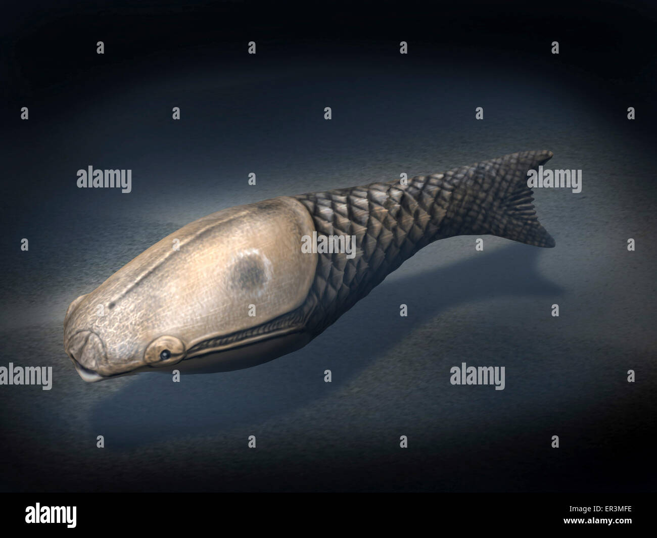 Athenaegis is an armored fish from the Paleozoic Era. Stock Photo