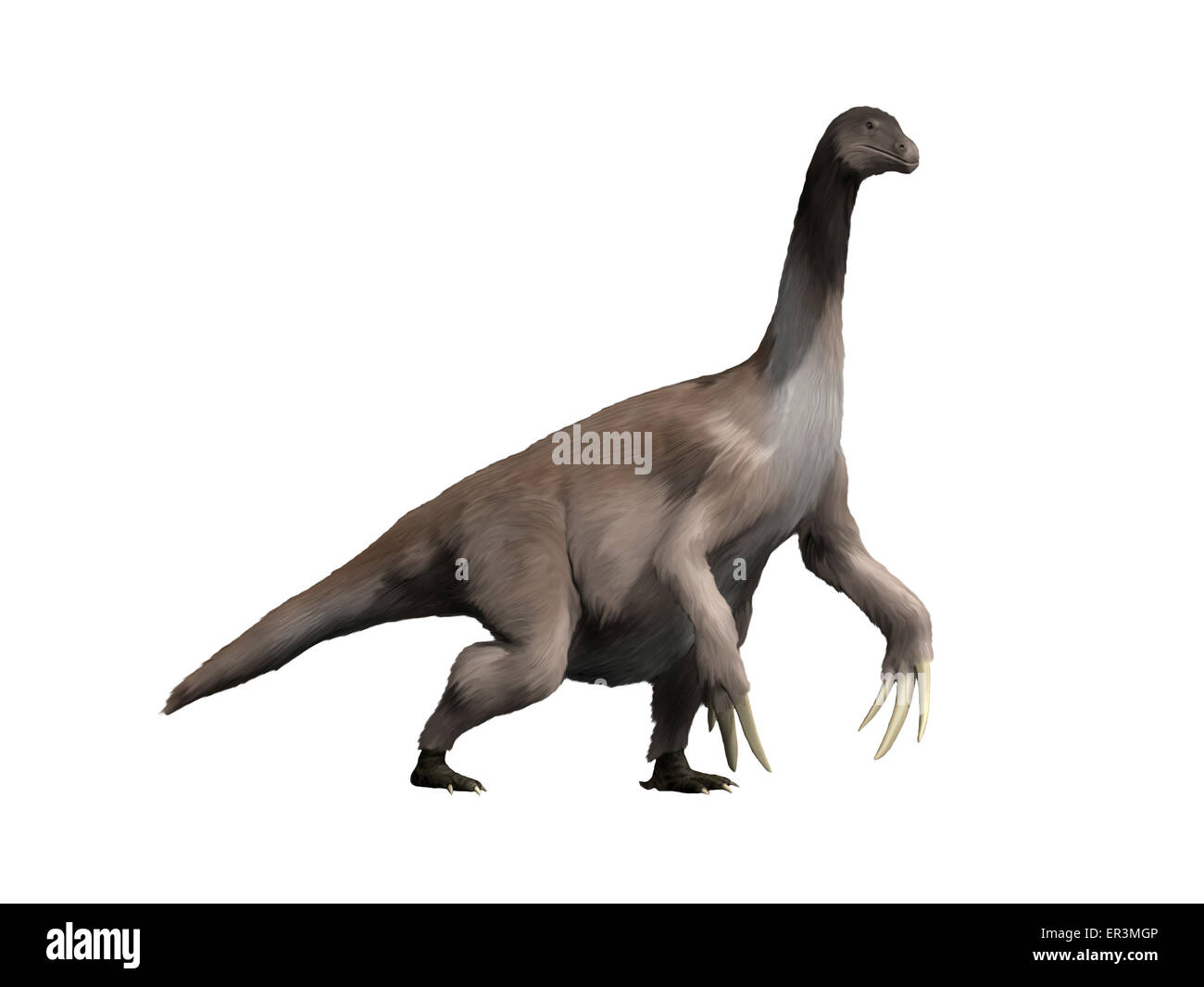 Therizinosaurus is a large theropod dinosaur from the Late Cretaceous period. Stock Photo