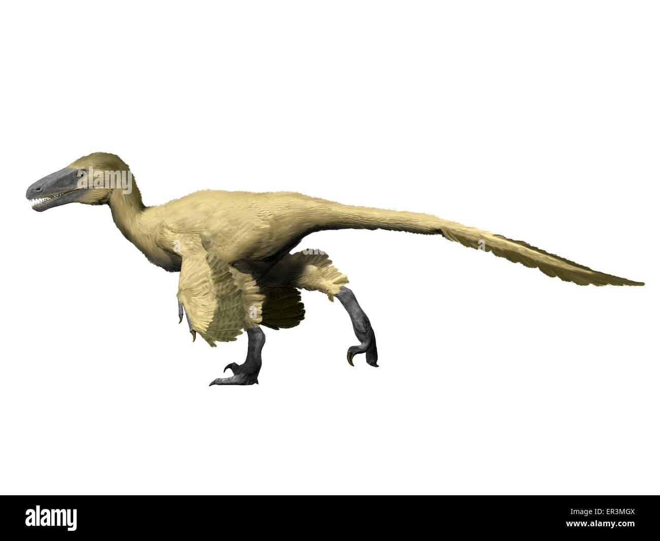 Early animal evolution Cut Out Stock Images Pictures Alamy Early animal evolution Cut Out Stock Images Pictures Alamy
