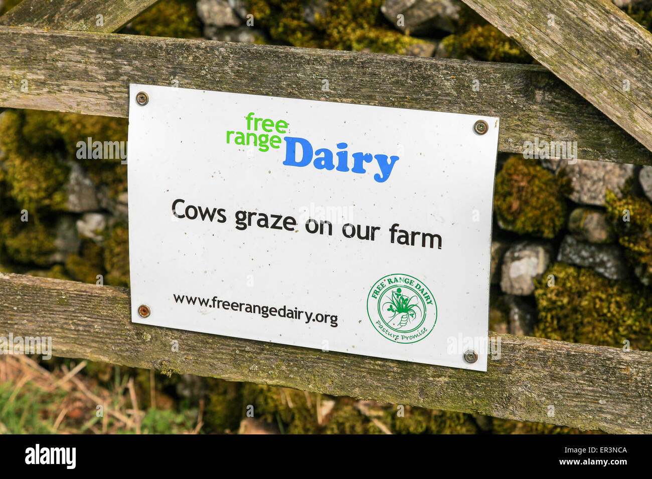 A sign on a wooden gate saying free range dairy cows graze on our farm Stock Photo
