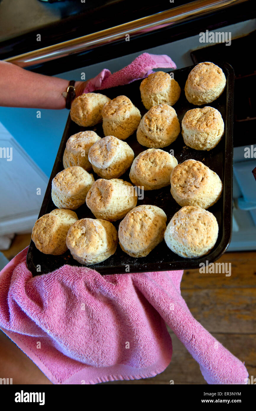 Traditional Cornish cream tea with scones,Cornish clotted cream,jam and