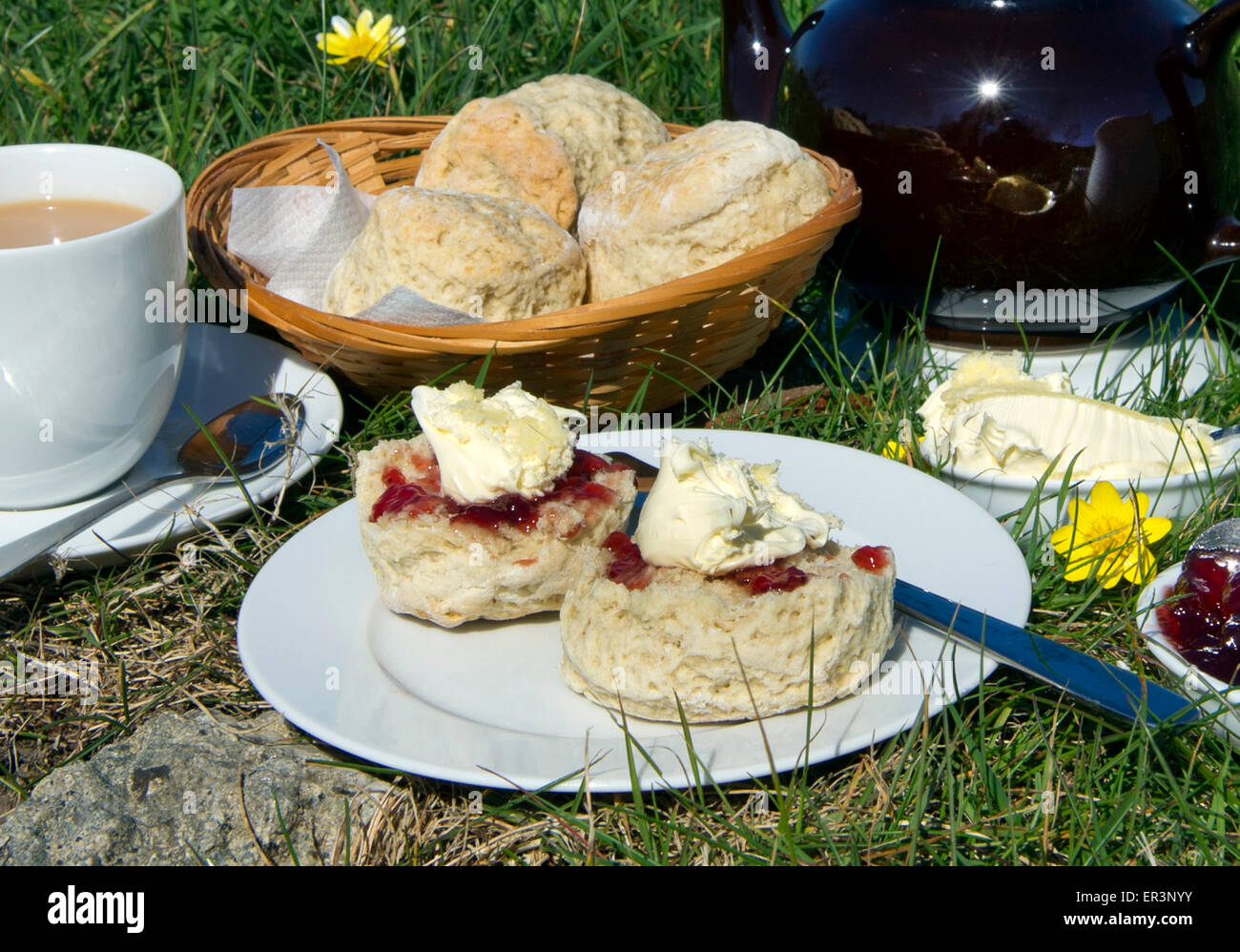 Traditional Cornish cream tea with scones,Cornish clotted cream,jam and