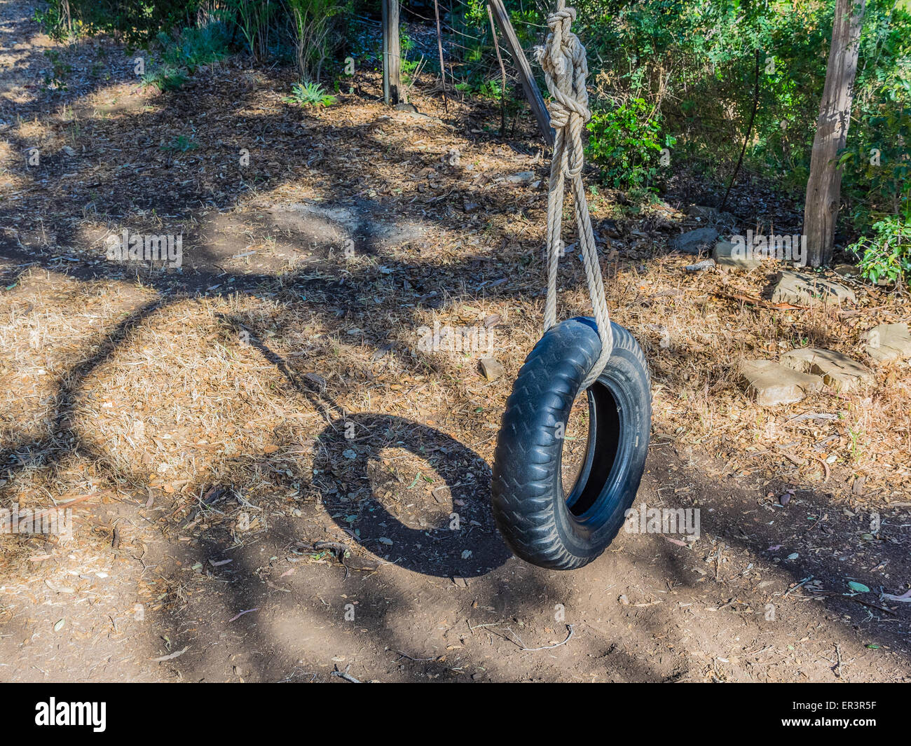 Tire swing is hanging to tree hi-res stock photography and images - Alamy