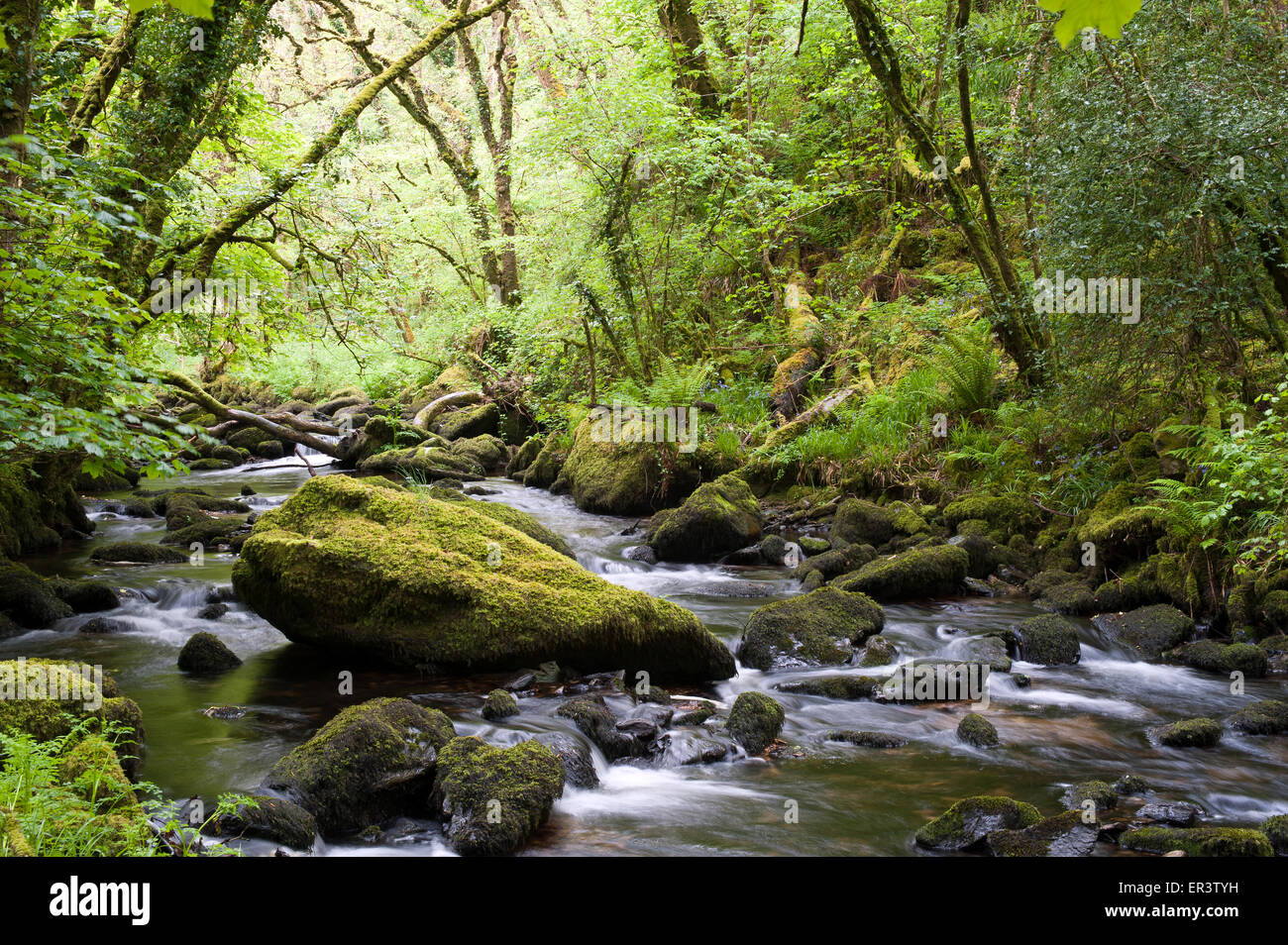 Afon brynberian river hires stock photography and images Alamy