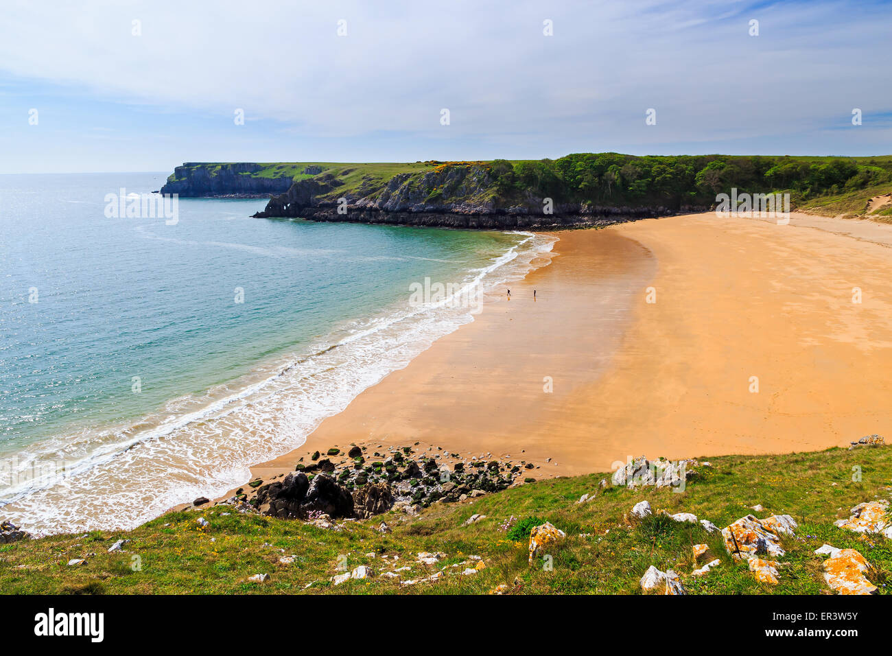 Overlooking the stunning beach at Barafundle Bay on the Pembrokeshire coast of South Wales UK Europe Stock Photo