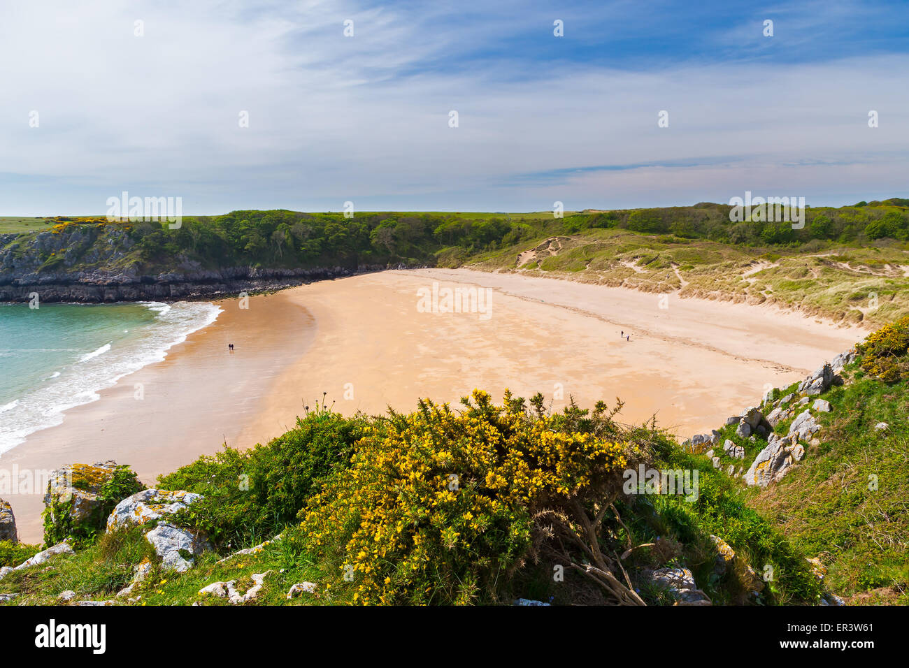 Overlooking the stunning beach at Barafundle Bay on the Pembrokeshire coast of South Wales UK Europe Stock Photo