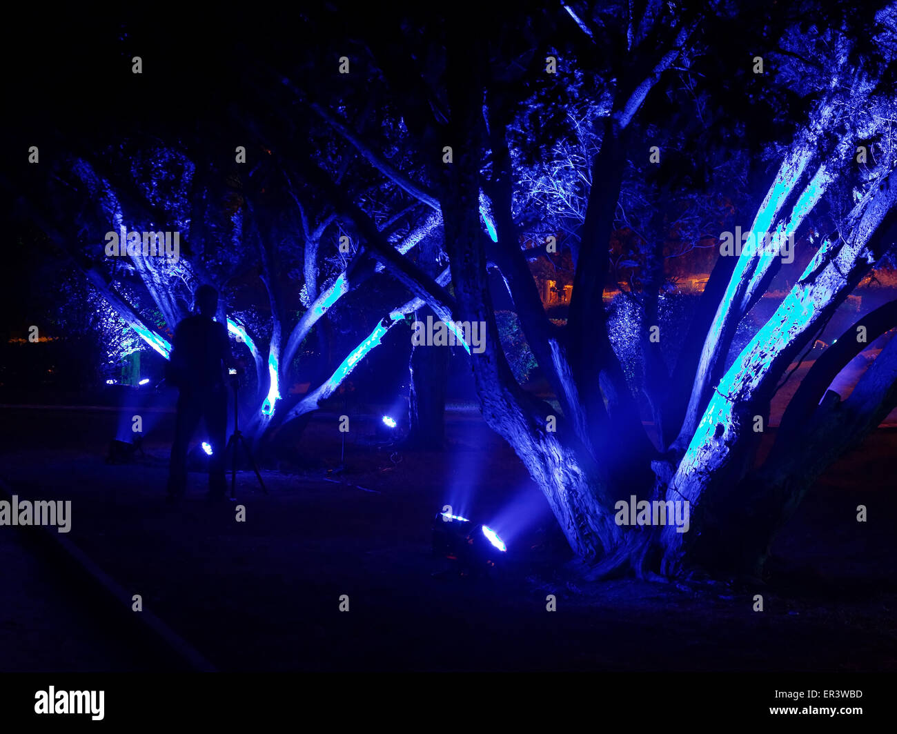 Photographer shooting an abstract night illumination Stock Photo