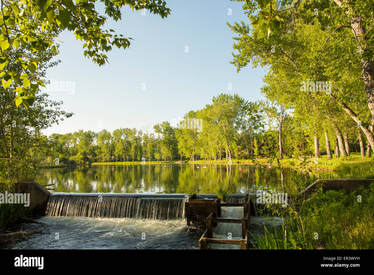 Waterfall and fish ladder in River Run residential home developement