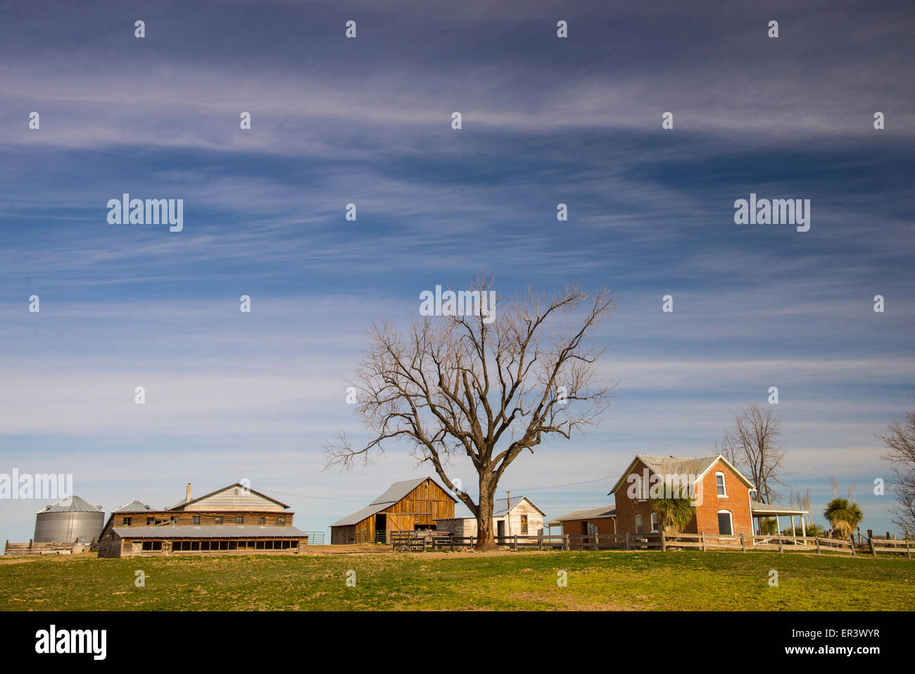 Agriculture, Homestead farm against blue sky in spring. ParmaNotus