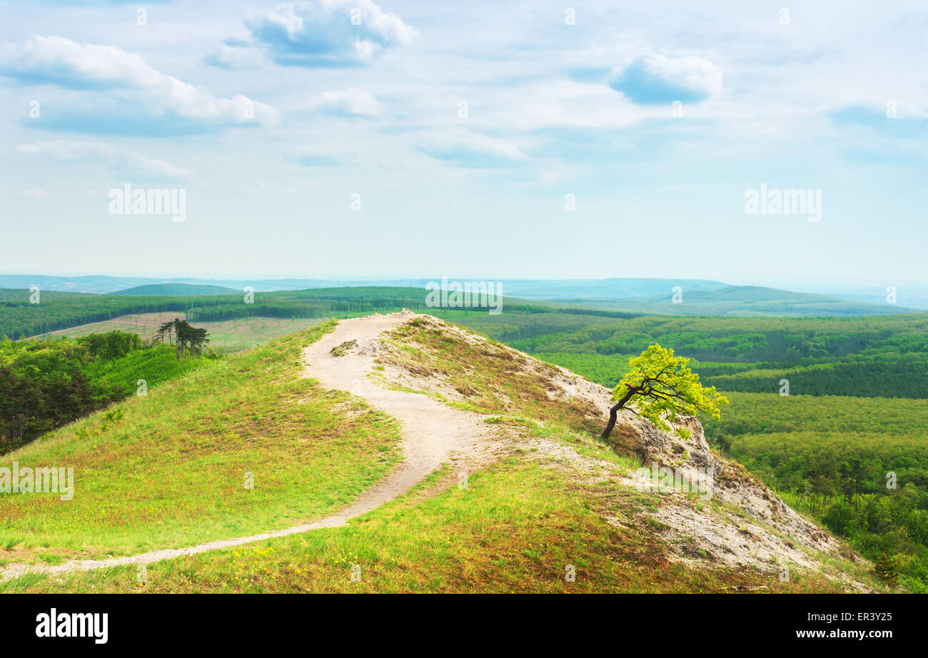 View on top of the mountain. Stock Photo