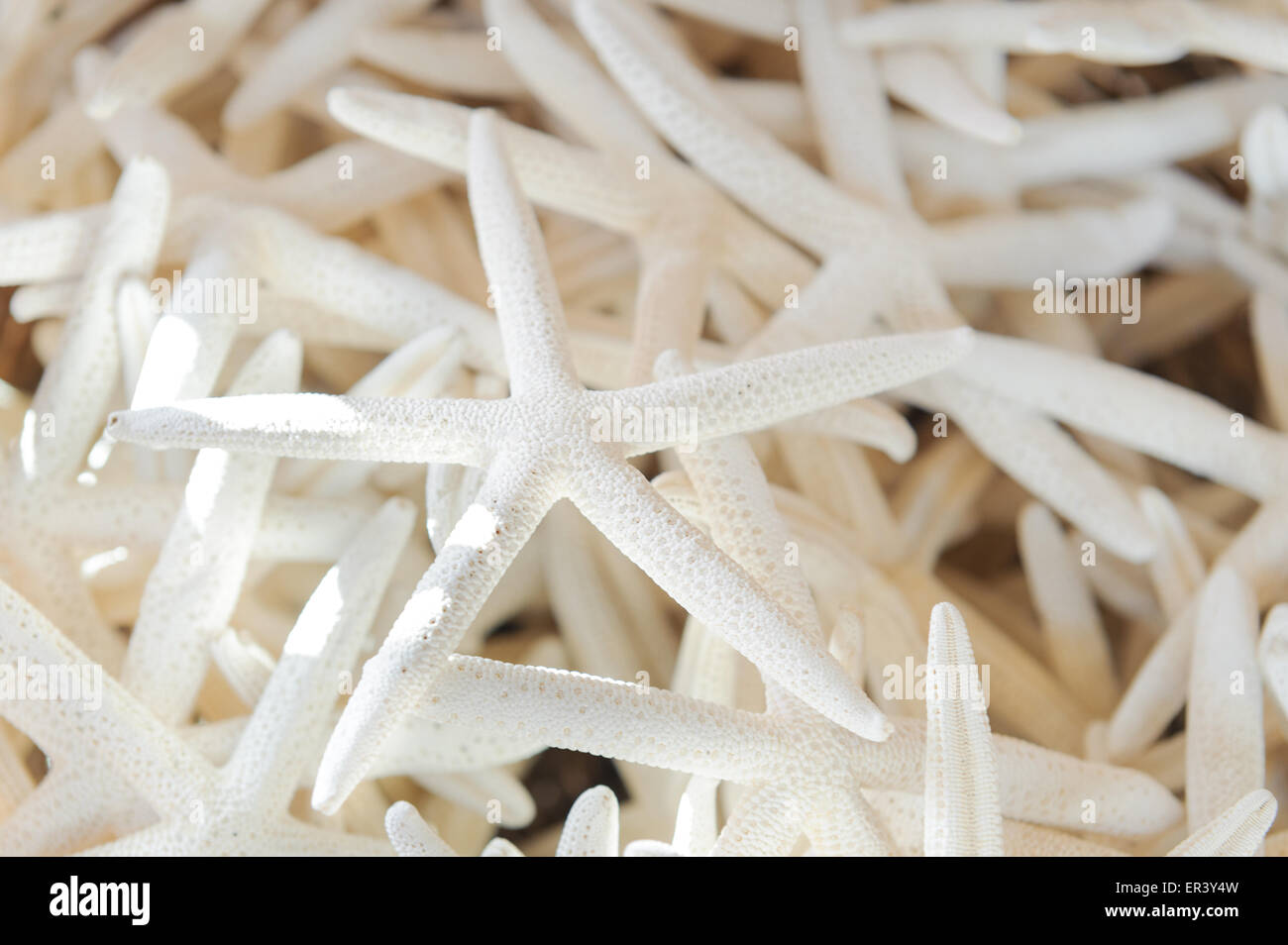 souvenir Starfish group in white color Stock Photo