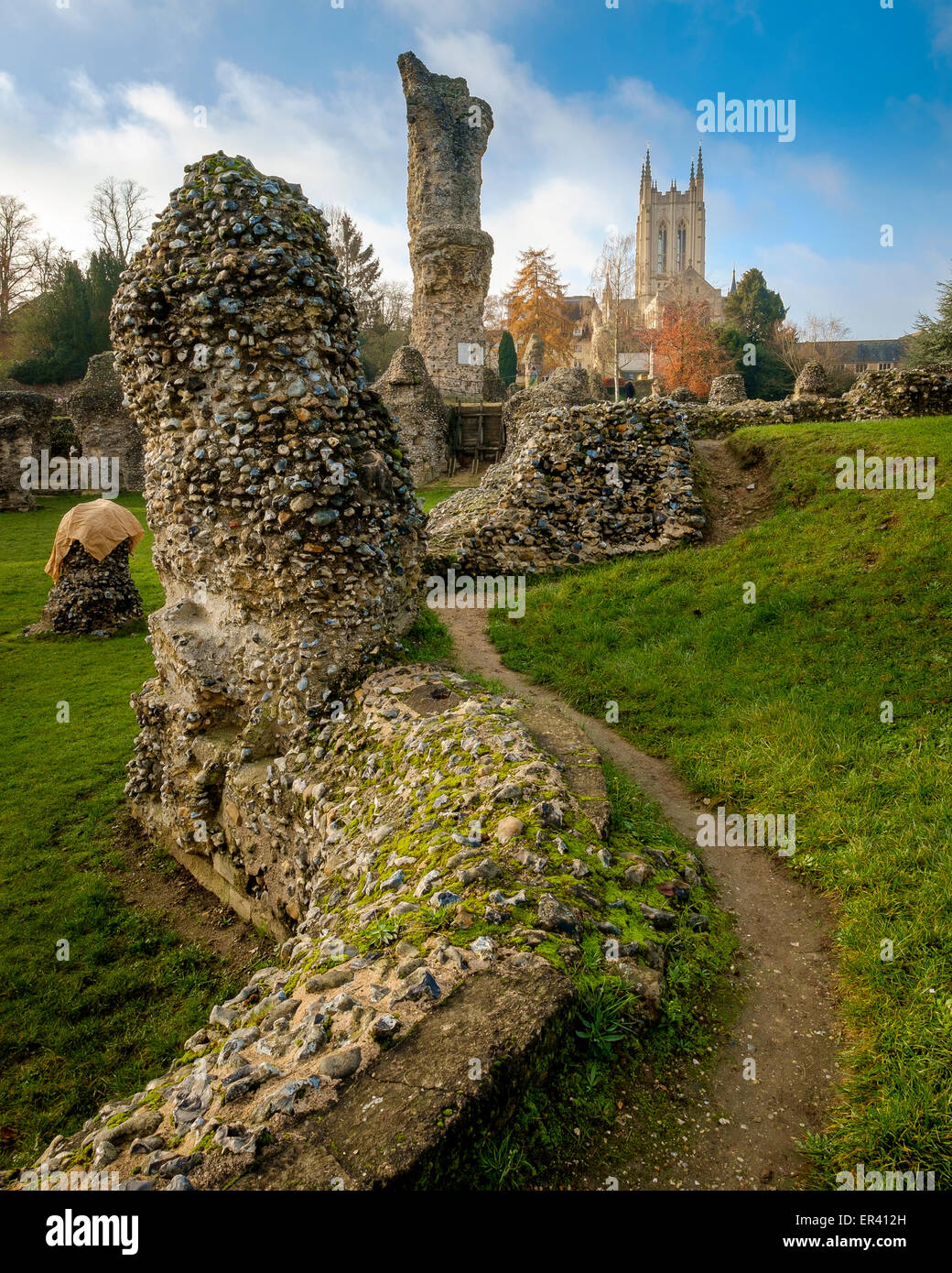 The ruins of the Abbey, with St Edmundsbury Cathederal in the distance, Bury St Edmunds, Suffolk. Stock Photo