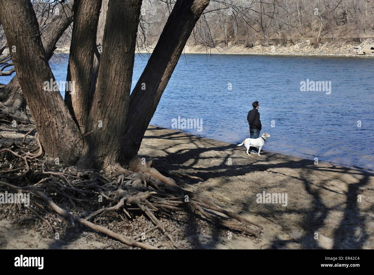 A man and dog standing on the bank of a river Stock Photo - Alamy