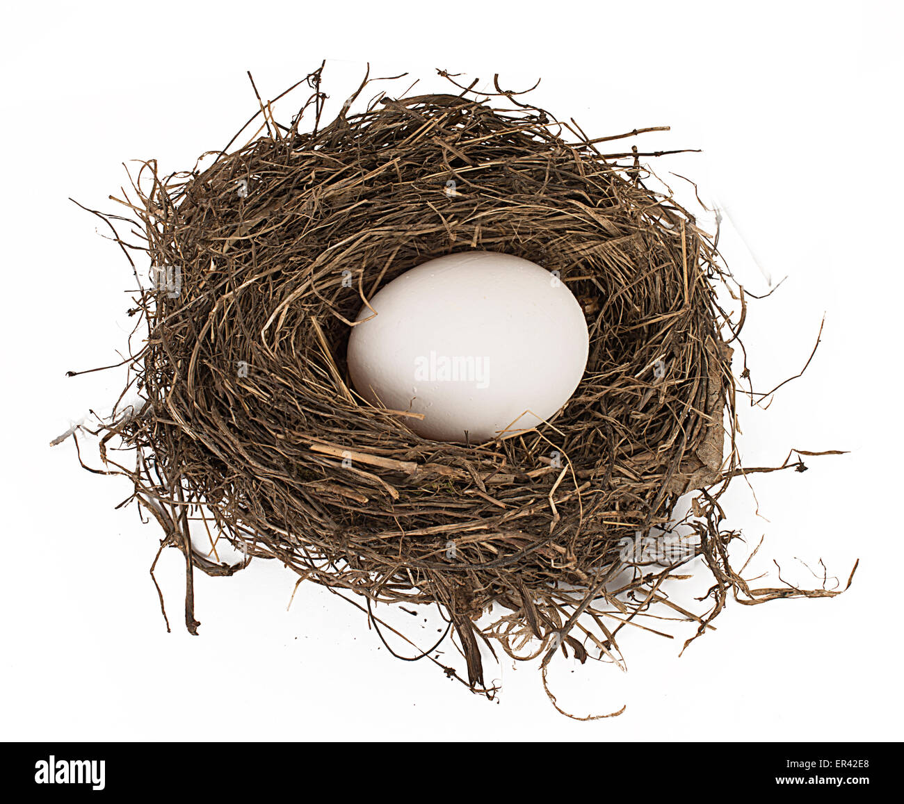 nest egg Stock Photo