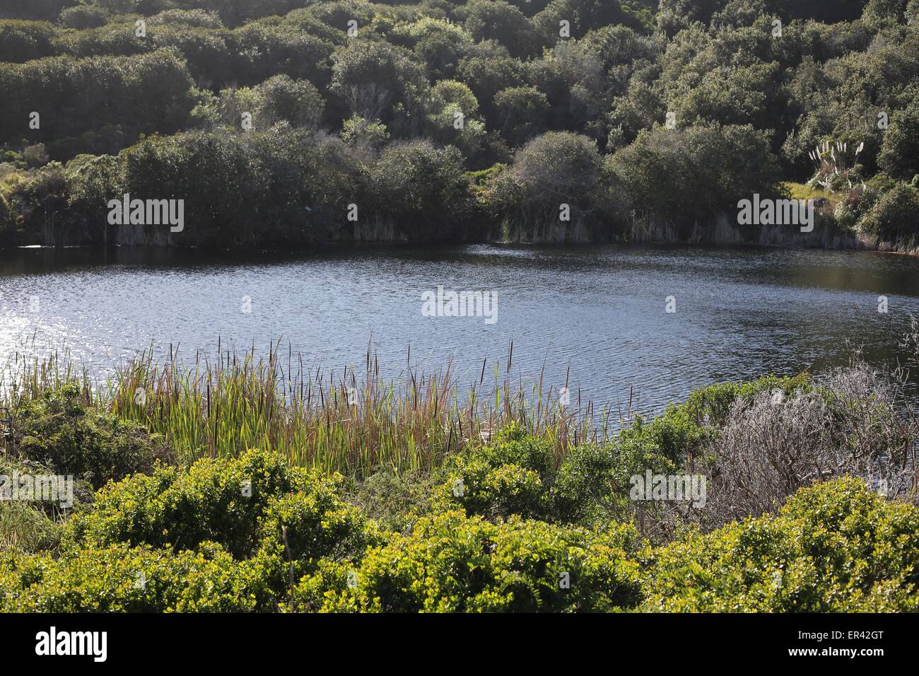 The Hole in the Head, an abandoned location for a proposed nuclear