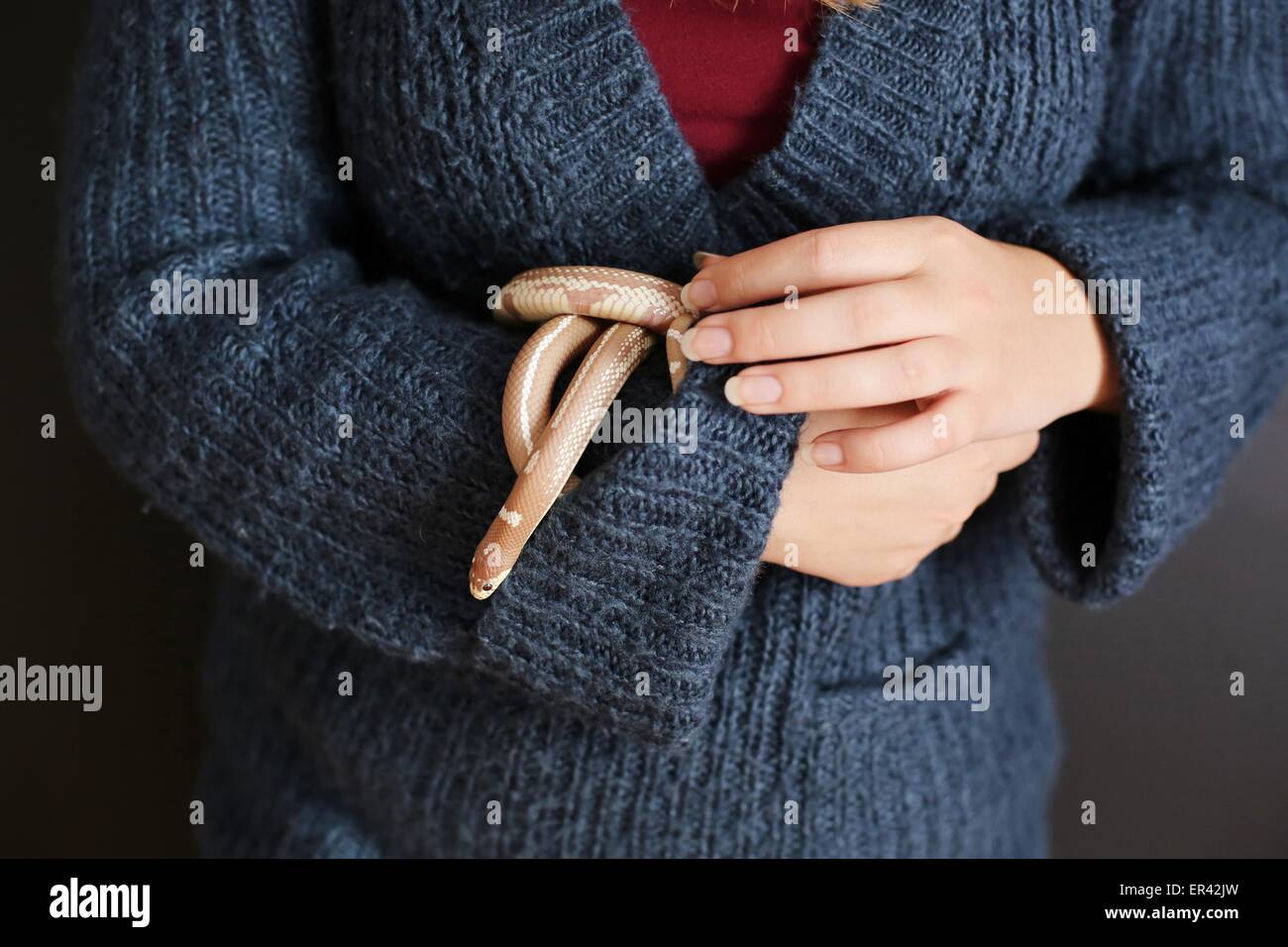 A close up of a snake being held by a teen girl. Stock Photo