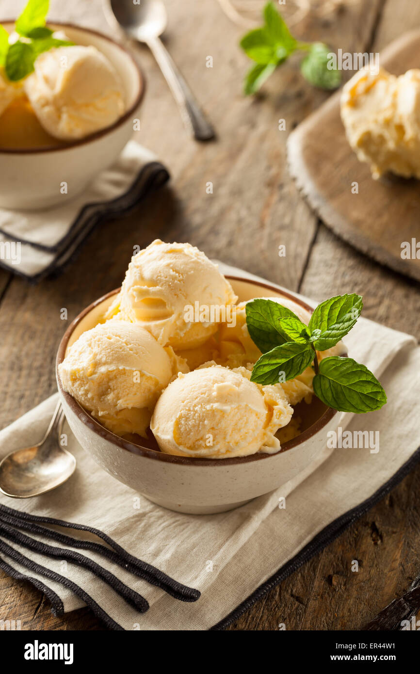 Homemade Organic Vanilla Ice Cream with Mint Stock Photo Alamy