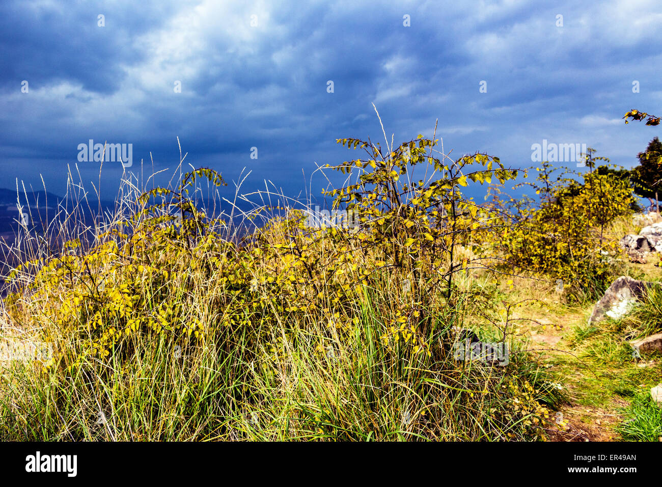 Views of the Krizevac Mountain in Medjugorje in Bosnia ed Erzegovina