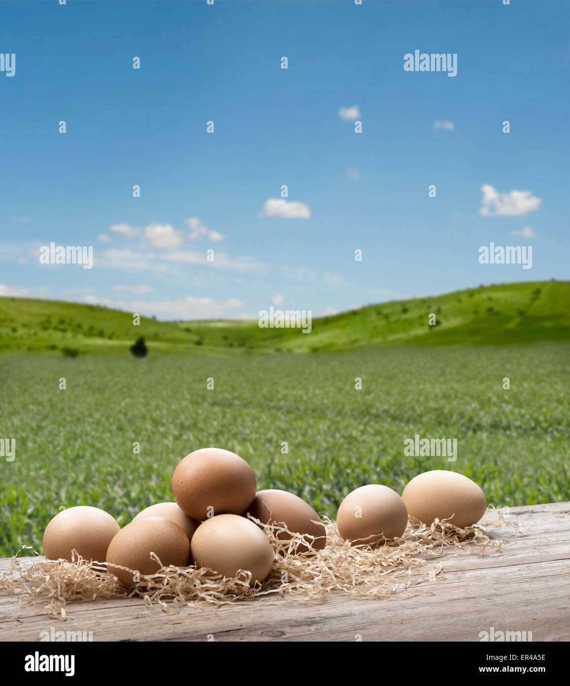 group of eggs on wooden table with summer landscape Stock Photo
