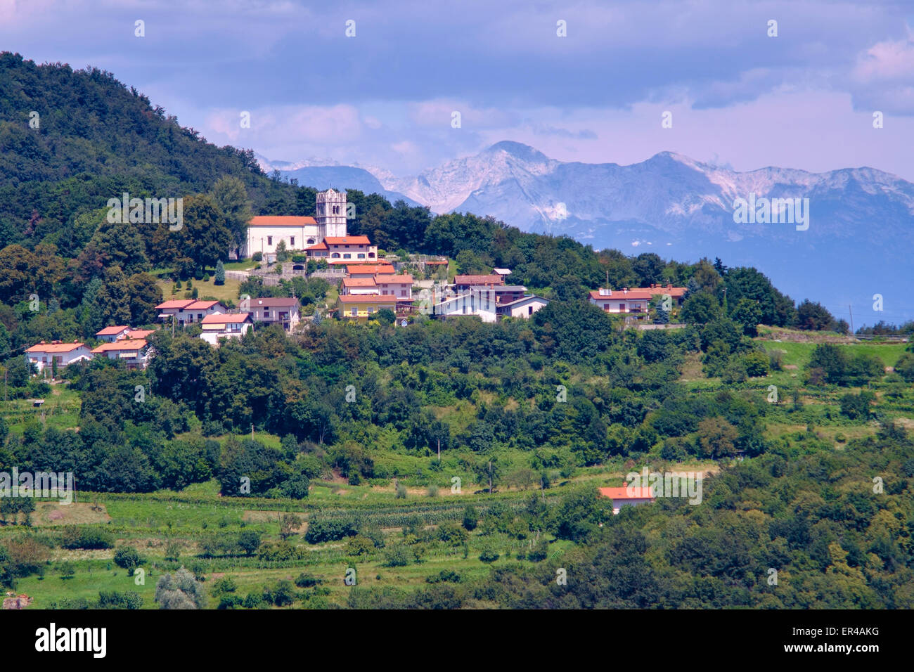 Goriška brda near Italian border vine producing region. Stock Photo