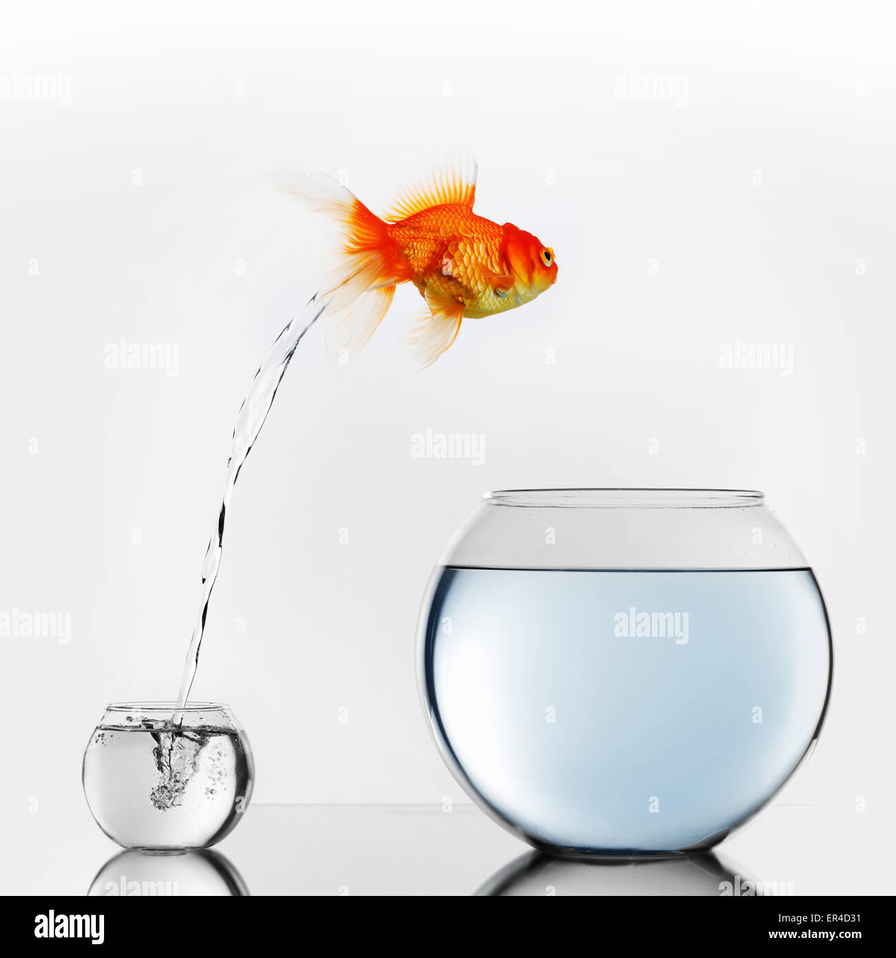 My Image 21