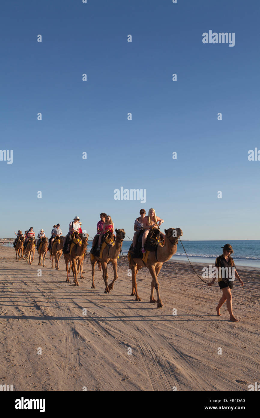 Groups of tourists on a sunset camel trek, Cable beach, Broome, Western ...