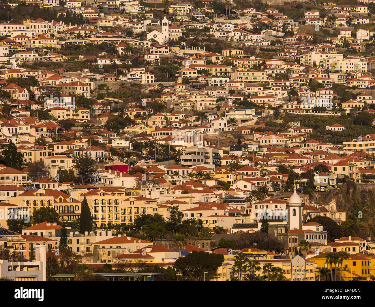 Hillside, Funchal, Madeira, Portugal Stock Photo