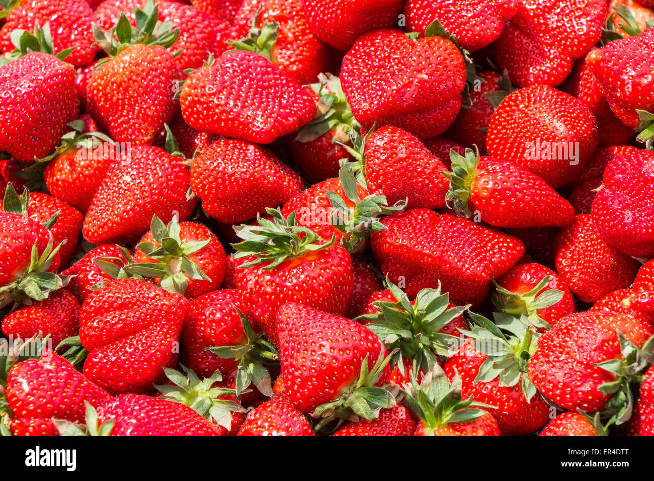 Group natural strawberries from hi-res stock photography and images - Alamy