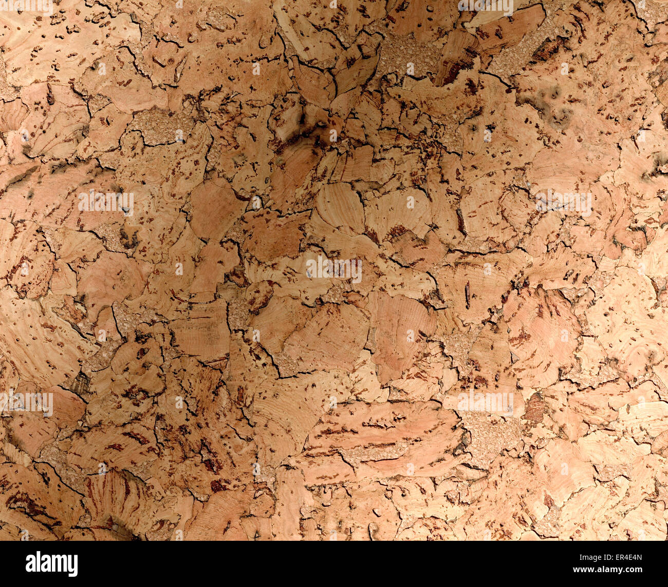 Cork board with shadow Stock Photo Alamy