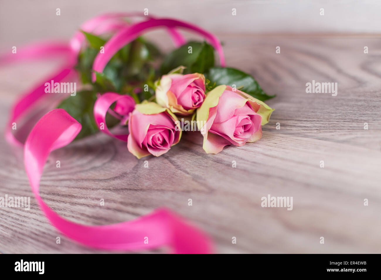Pink roses lying on a wooden table Stock Photo