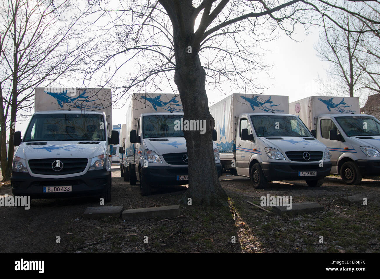 Robben Wientjes High Resolution Stock Photography And Images Alamy