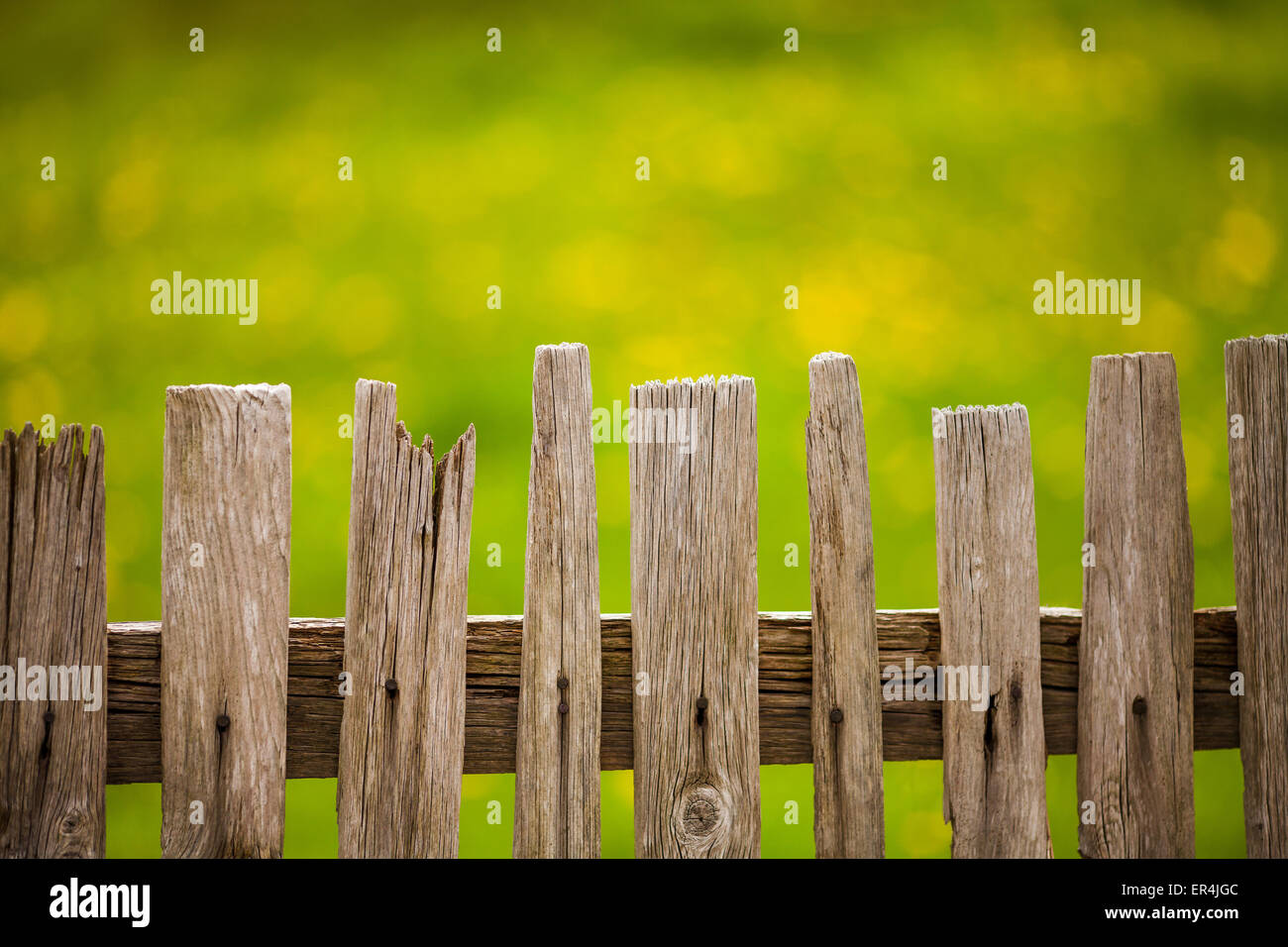 Wooden fence around a green park Stock Photo - Alamy