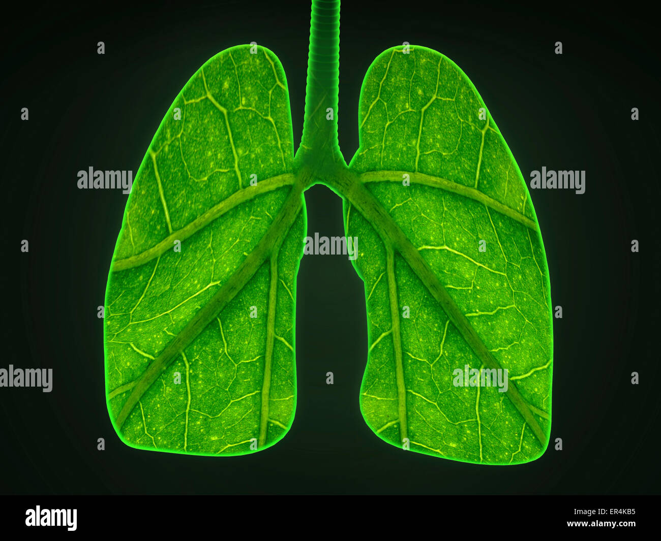 Lungs made out of leaves hires stock photography and images Alamy