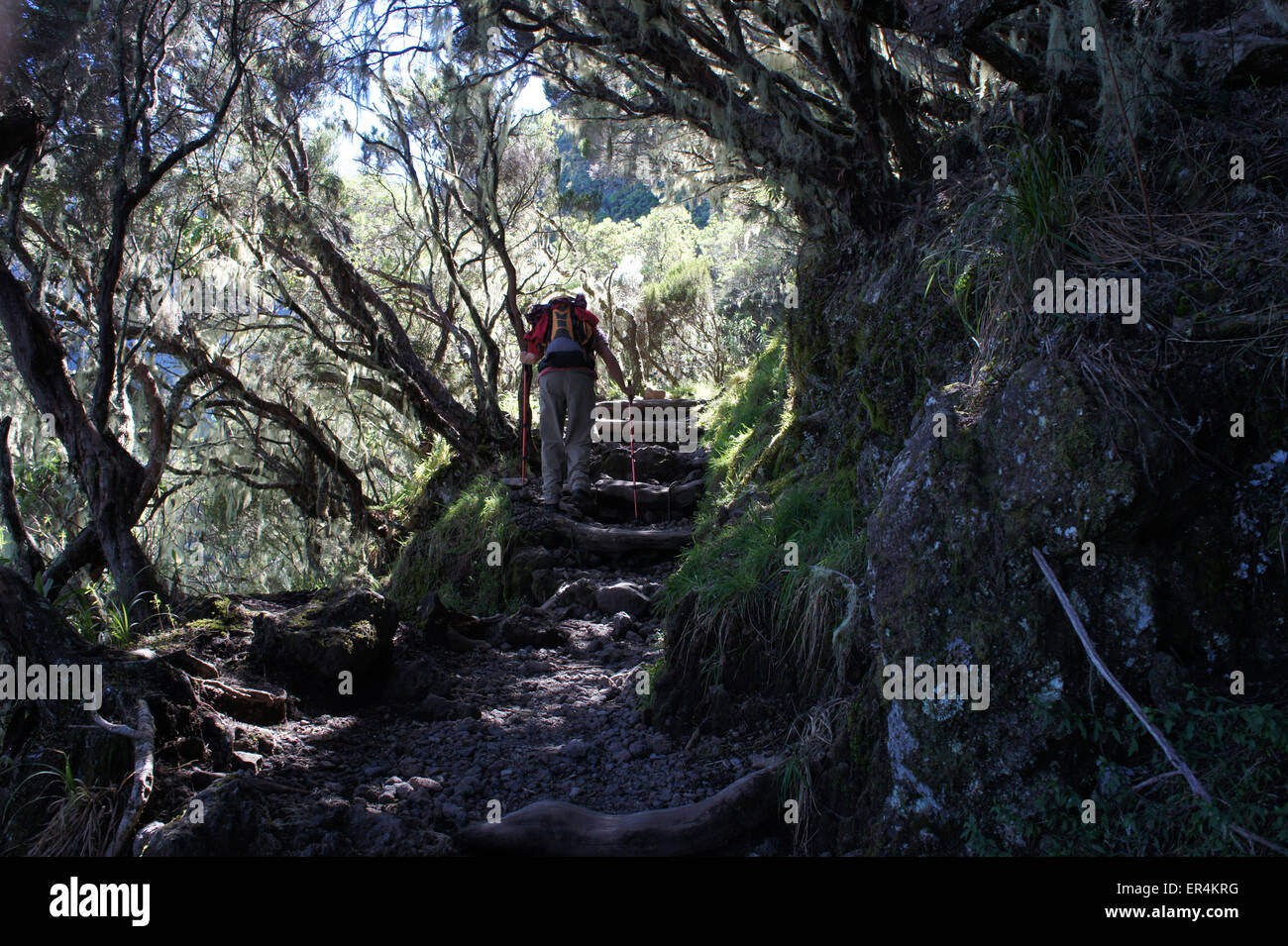 Hiking from Cilaos to caverne du Dufour, Piton des Neiges, island La