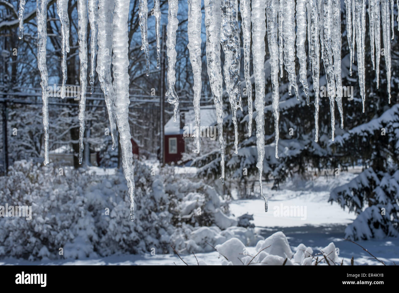 Icicles, Winter Landscape Stock Photo